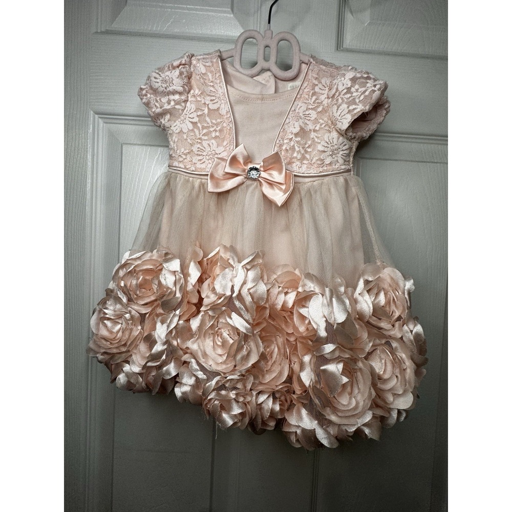 Nannette Baby Girl Blush Pink Lace Tulle Dress Floral Rosette Party Wedding 3/6
